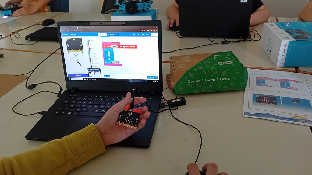 Coding for Climate - micro:bit Tree Protector